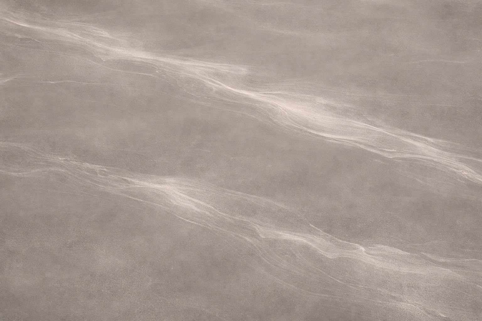 Grey Ghost